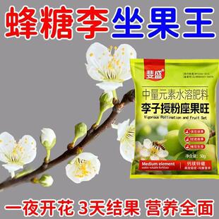 蜂糖李专用座果灵蜂糖李三华李保花保果药李子树催花授粉防营养肥