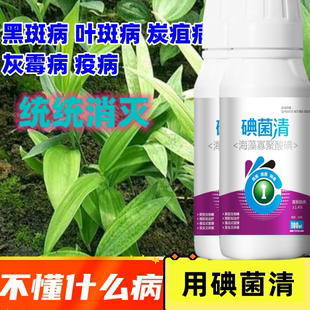 黄精杀菌剂黄精专用杀菌剂黄精病害全杀黄精病全治黄精杀菌药正品