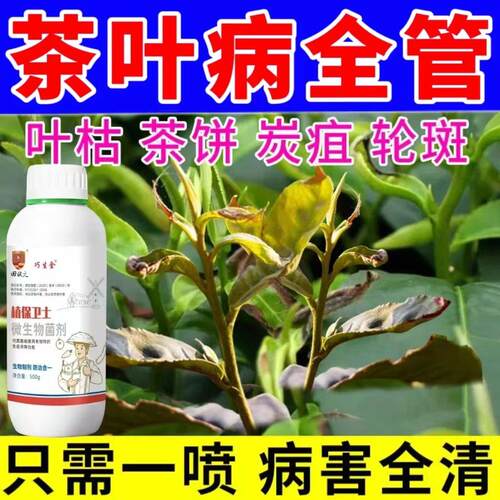 茶树病害清茶叶专用杀菌剂茶饼软腐也哭叶霉黑斑烂叶病炭疽病全治