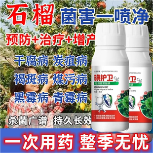 石榴病全管石榴专用杀菌剂干腐病炭疽病褐斑病煤污病黑霉病干枯病