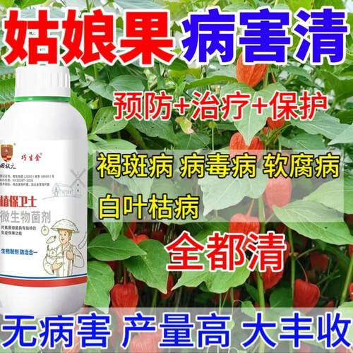 姑娘果病毒专用杀菌剂姑娘果病全管黄叶卷叶斑点畸形农用助剂