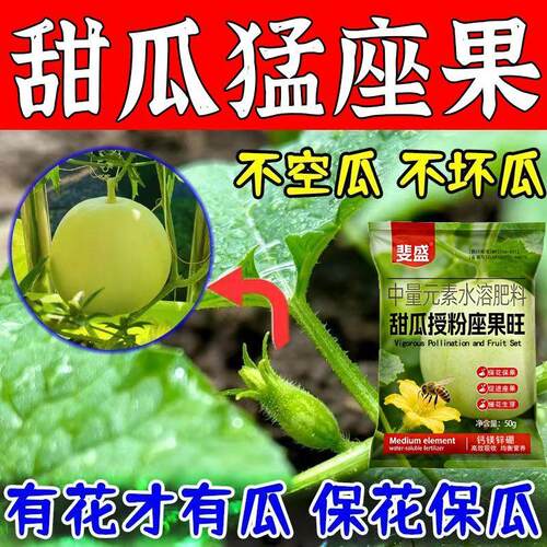 甜瓜授粉坐果灵防落防烂叶面肥瓜果授粉蔬菜通用保花保果素水溶肥