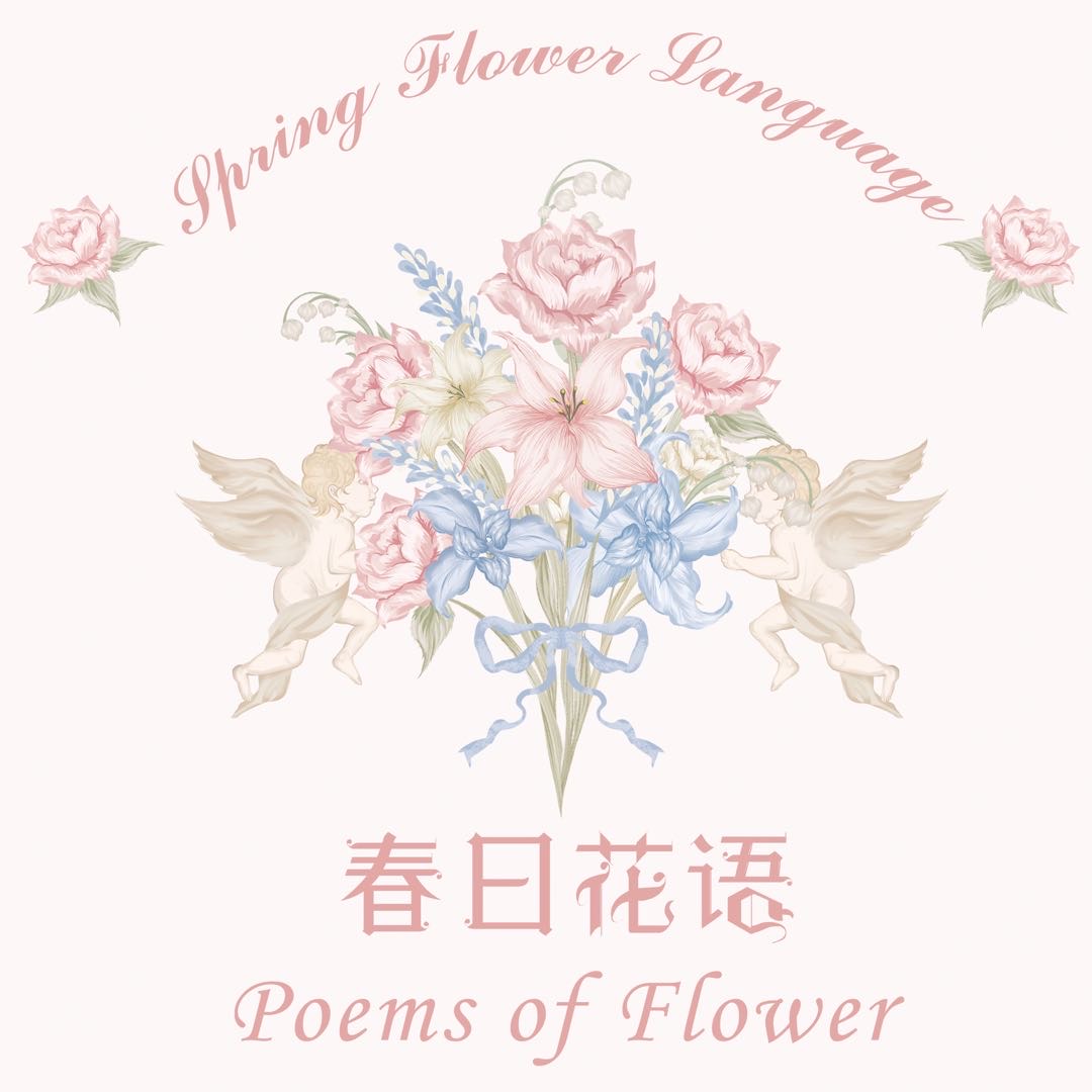 【春日花语】万能一元拍