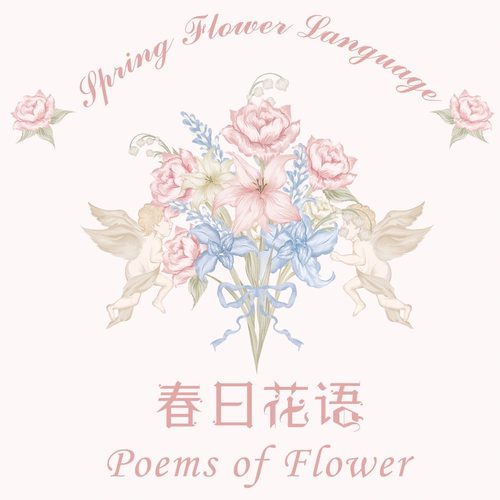 【春日花语】 补邮 补差 万能一元拍 明信片