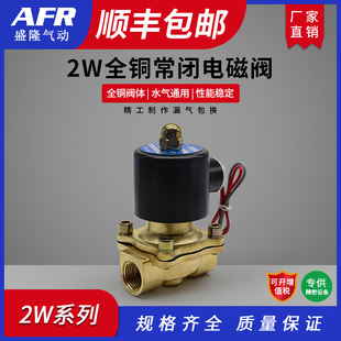 AC220V DC24V 油气阀 2W160 DN08 2W全铜常闭电磁阀水阀