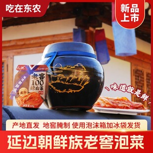 朝鲜辣白菜韩式泡菜地窖辣桔梗酸甜黄瓜水果萝卜条香辣茄子下饭菜