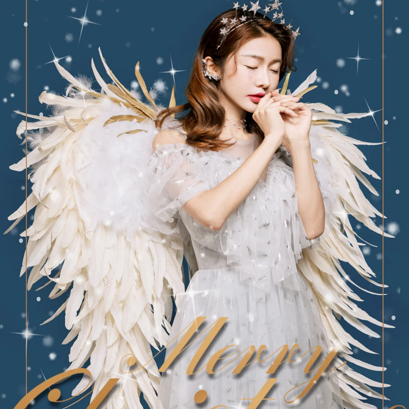 海马体翅膀小红书推荐维密天使羽毛翅膀圣诞主题写真摄影影楼道具