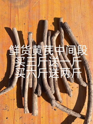新鲜当季黄芪现场秤重现场打包