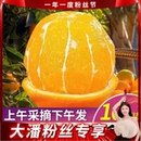 现摘现发原生态水果 高山脐橙子带箱10斤装 大潘粉丝节专享