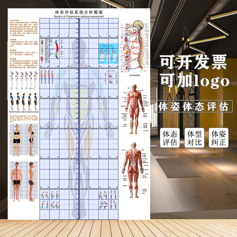 人体体态评估表健身房身体分析体测表墙贴瑜伽馆墙纸身体评估图,家装主材,定制壁画,淘宝优惠券,粉丝福利购,淘宝优惠卷