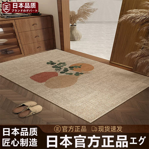 日本进口门垫家用门口耐脏脚踏垫
