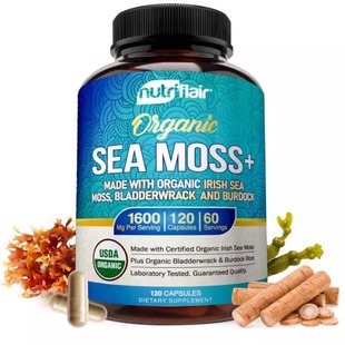 美国NutriFlair Irish Sea Moss爱尔兰海苔牛蒡益生元免疫力120粒
