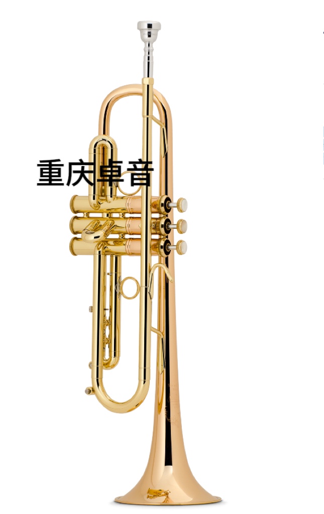 BACH巴哈 专业级 小号 LT180S77 /LT1901B / LT190L1B / LT190S1B