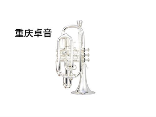 AMATI阿玛提 CIassic系列 富鲁格号AFH-201