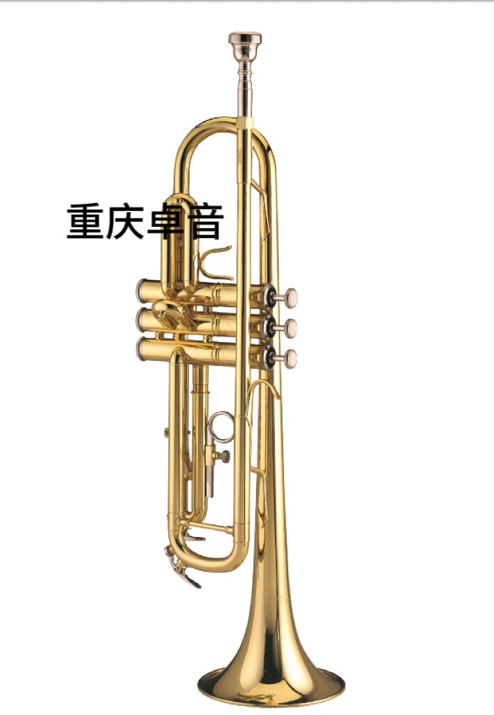 BACH 巴哈 学生级 小号 TR600 / TR650