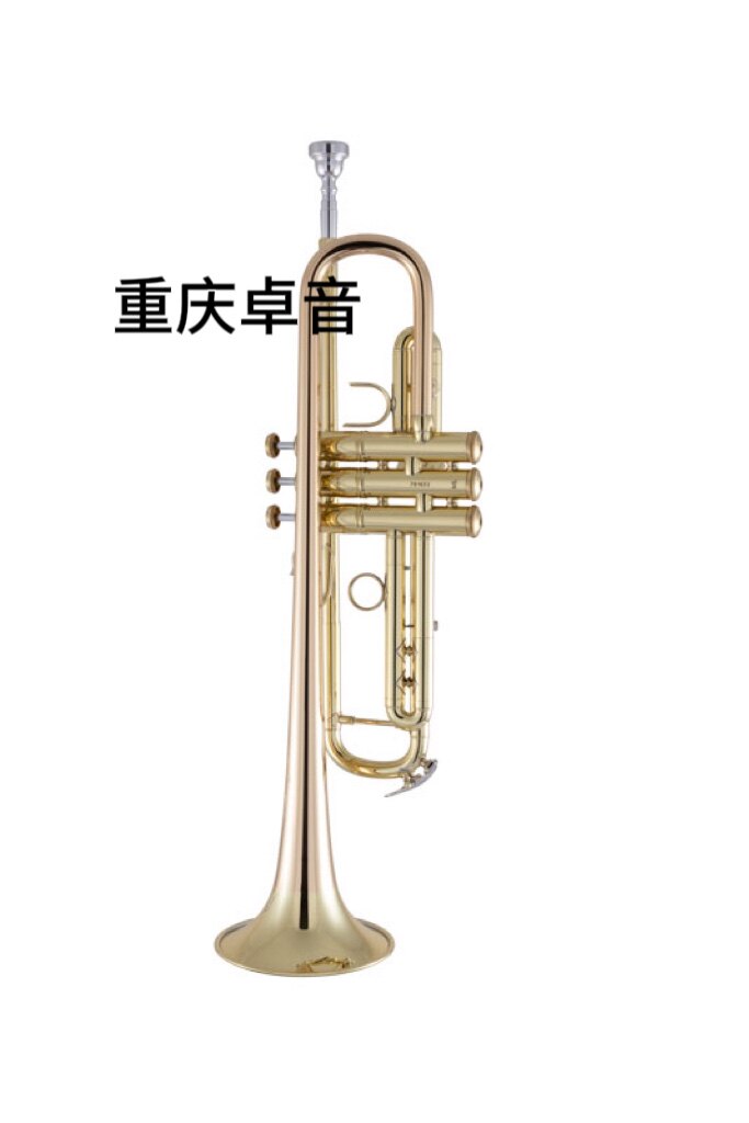 Bach 巴哈  专业级 小号 17043GYR / 18037/ 18043