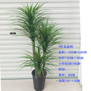 龙血树绿植仿真植物假花龙须树铁大小绿叶子盆景盆栽装饰塑料客厅