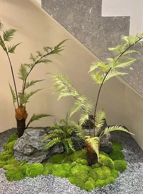 金丝猴蕨禅意蕨类植物室内意境绿植景观楼梯过道装饰仿金毛狗蕨树