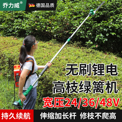 电动高枝绿篱机加长杆修剪机充电式园林绿化桂花树锂电伸缩高空剪