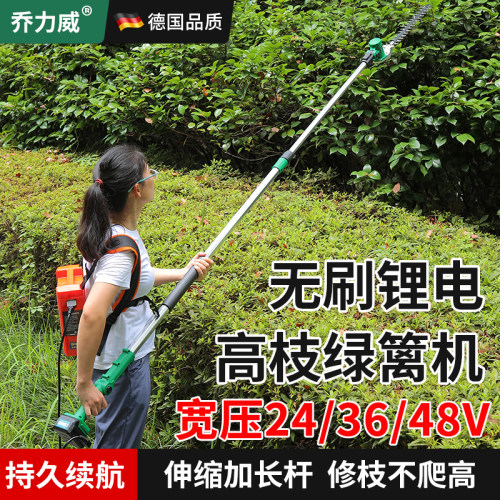 电动高枝绿篱机加长杆苗木修剪机