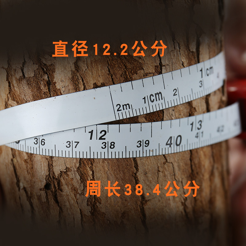 나무 둘레 자 정원 측정 나무 직경 2미터 강철 자 나무 측정 자 직경 자 나무 직경 줄자 나무 자 첨부