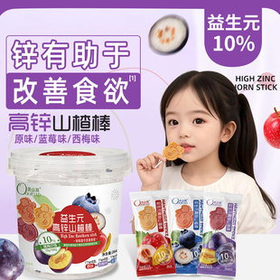 儿童山楂棒棒糖无添加色蓝莓西梅鸡内金宝宝水果条零食锌非婴儿补