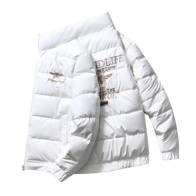 男士外套2025冬季新款棉衣韩版潮流男装青年立领棉袄加厚羽绒棉服