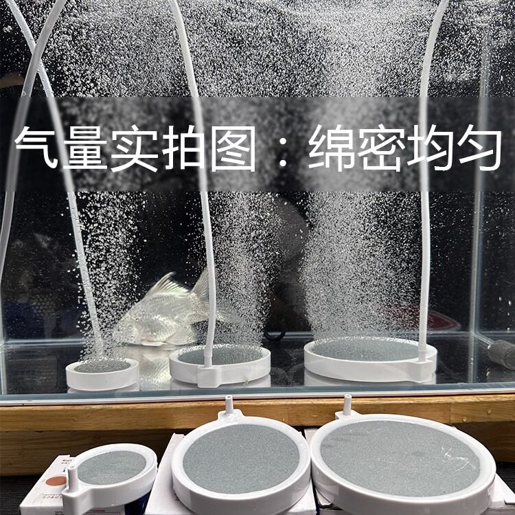 纳米气盘鱼缸家用养鱼爆氧雾化气泡石静音充氧打氧机增氧气泵配件