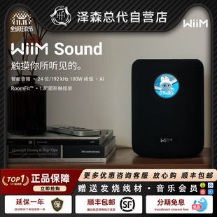 上市 新品 蓝牙音箱智能扬声器家用桌面电脑音响重低音 Sound WiiM
