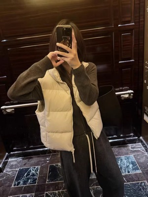 生C 2025冬季新韩国东大门简约纯色百搭立领拉链羽绒服背心马甲女