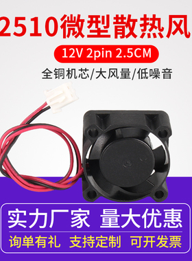 3D打印机diy配件 2510超小散热风扇 12V直流 2pin 2.5CM 25x25x10