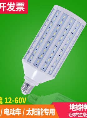 超亮12V低压玉米灯48V60V电动车电瓶夜市摆摊露营太阳能直流灯泡