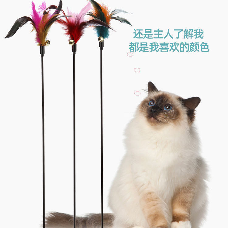 彩色羽毛逗猫棒乐趣逗猫带铃铛猫咪玩具宠物用品厂家现货