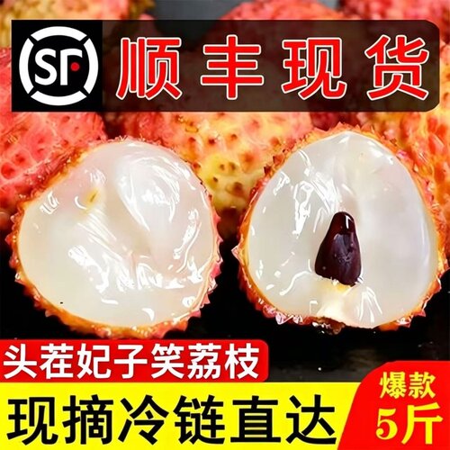 顺丰冷链海南妃子笑荔枝5斤3大果