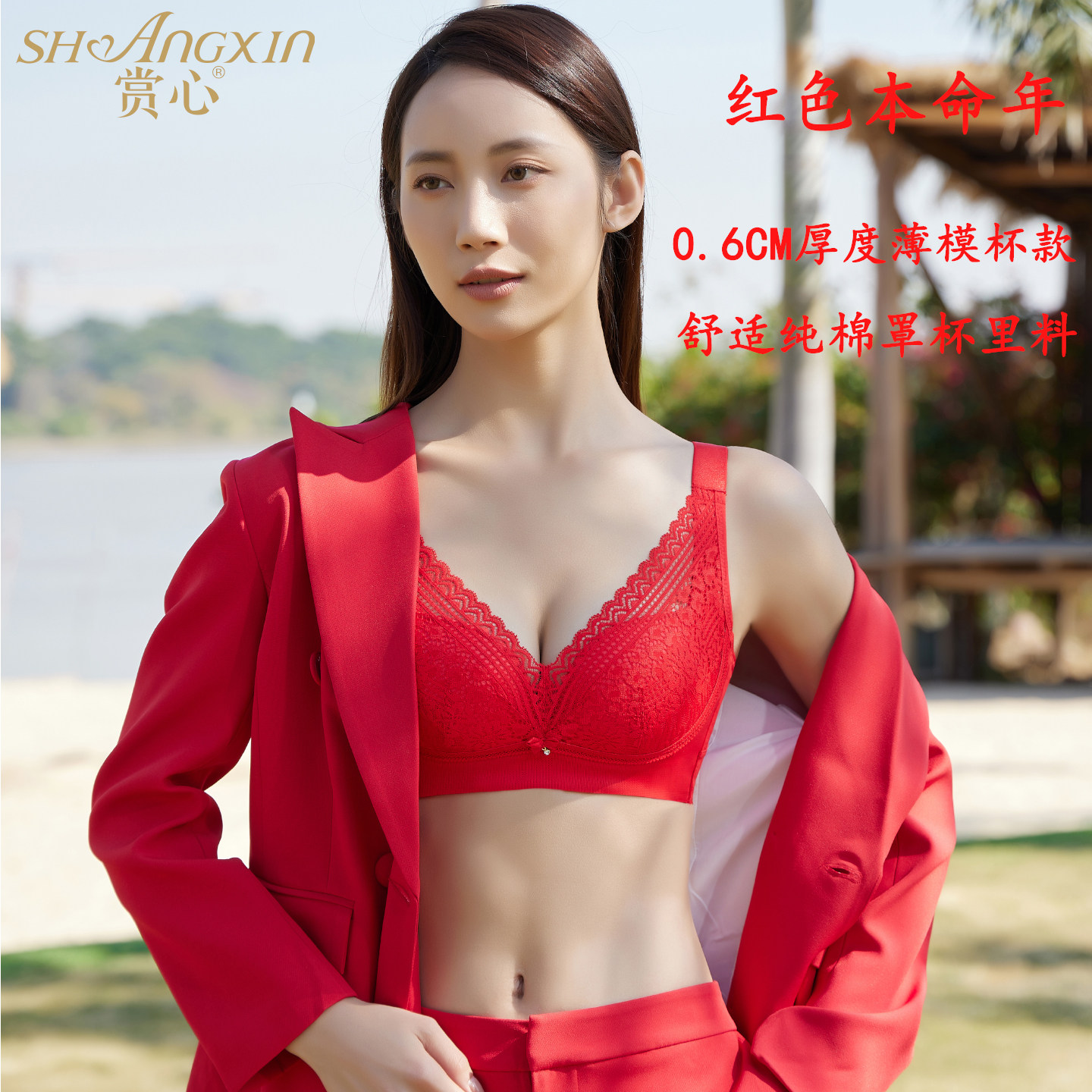 赏心大红色本命年喜庆结婚内衣9047中厚定型杯小胸聚拢蕾丝文胸罩
