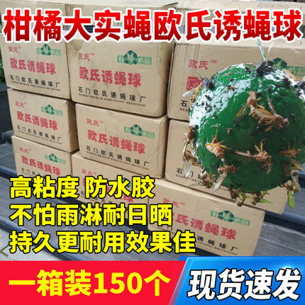 实心泡沫球石门欧氏诱蝇球柑橘大实蝇诱捕球果园户外防晒防水粘蝇