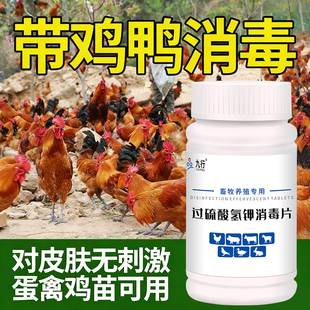 鸡圈消毒液养殖场专用过硫酸氢钾消毒剂鸡鸭消毒水鸡舍专用消毒液