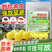 野炊驱避丸强力驱鼠丸驱虫防鼠蛇虫植萃强力驱鼠丸家用蟑螂虫鼠丸