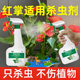 红掌非专用杀虫剂白掌驱虫除虫防虫小白虫去蚜虫红蜘蛛盆栽植物药