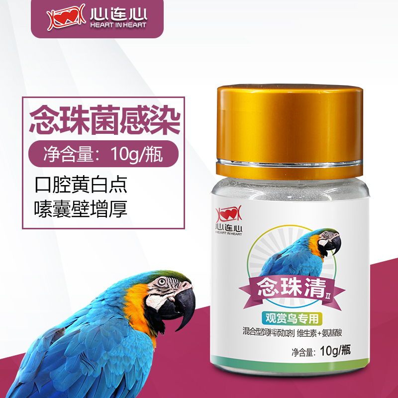 心連心鸚鵡嗉囊積食不消化念珠菌