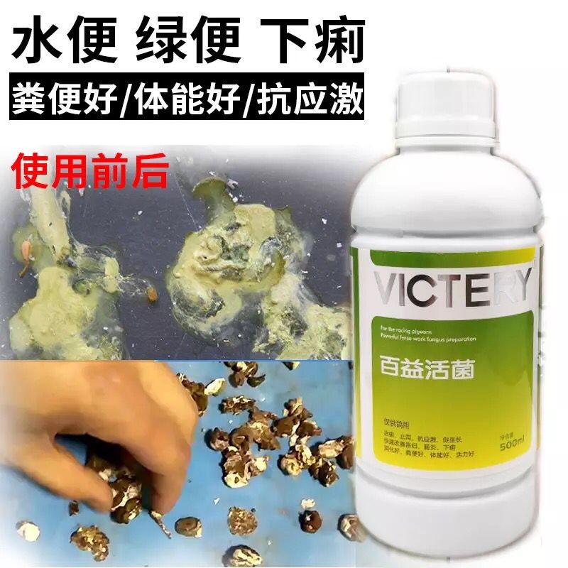 鸚鵡鳥調理益生菌王鴿用活菌賽鴿