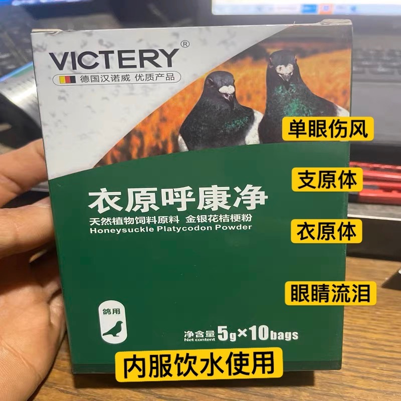 汉诺威鸽子保健品专用单眼伤风衣原呼康净信鸽鹦鹉鸟眼睛流泪浮肿