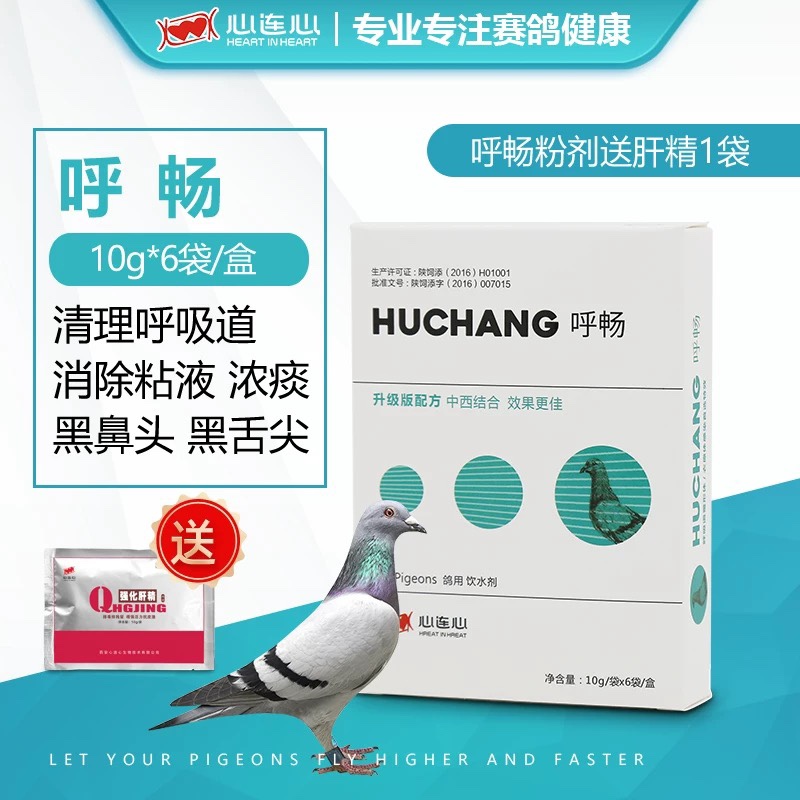 赛信鸽鹦鹉鸟清理呼吸道粘液浓痰