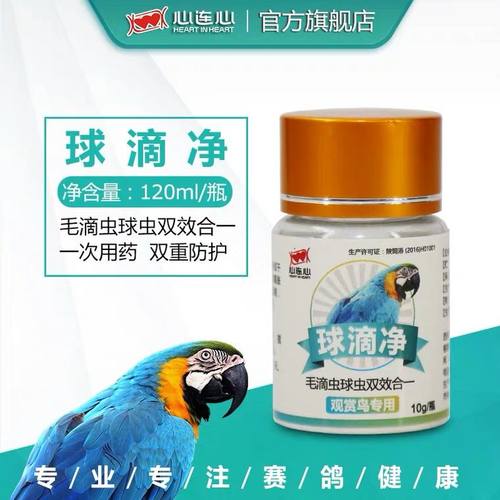 净虎皮鹦鹉毛滴虫球虫二合一八哥