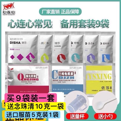 心连心玄凤虎皮牡丹鹦鹉养鸟常备