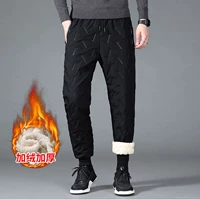 F-1733 черные ножки (плюс бархат)