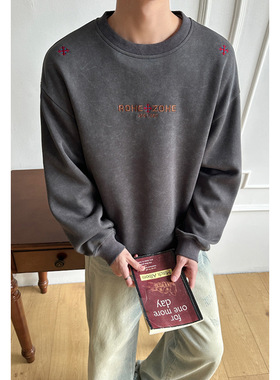 2026 春季新款 港风内景大码华棉刺绣圆领卫衣M-5X HW26252-特P35