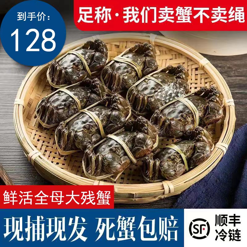 现货特大红膏大闸蟹鲜活螃蟹全母大残蟹断脚蟹十只装礼盒顺丰包邮