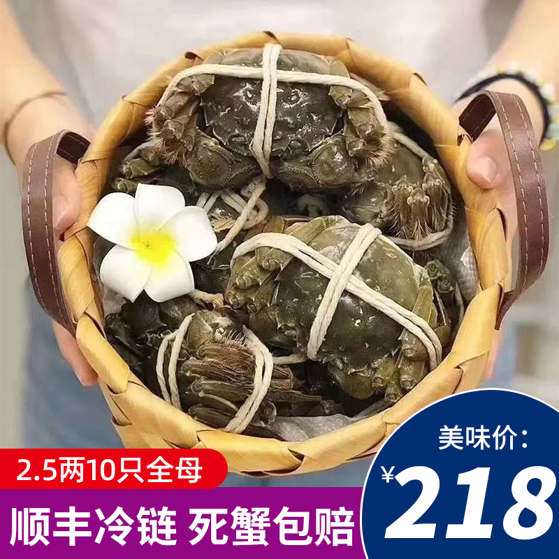 现货特大只兴化红膏大闸蟹鲜活螃蟹2.5 全母大闸蟹十只装顺丰包邮