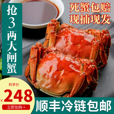 现货鲜活10只装江苏兴化红膏大闸蟹现货特大只螃蟹海鲜水产红膏蟹